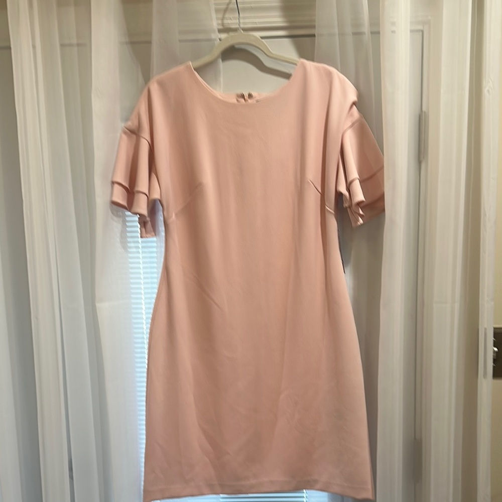 Jessica Howard Pink Ruffle Sleeve Dress